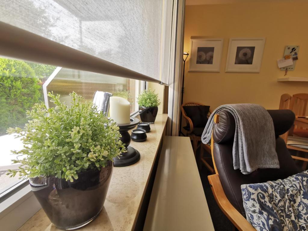 Ferienwohnung Pellworm Horumersiel Exterior foto